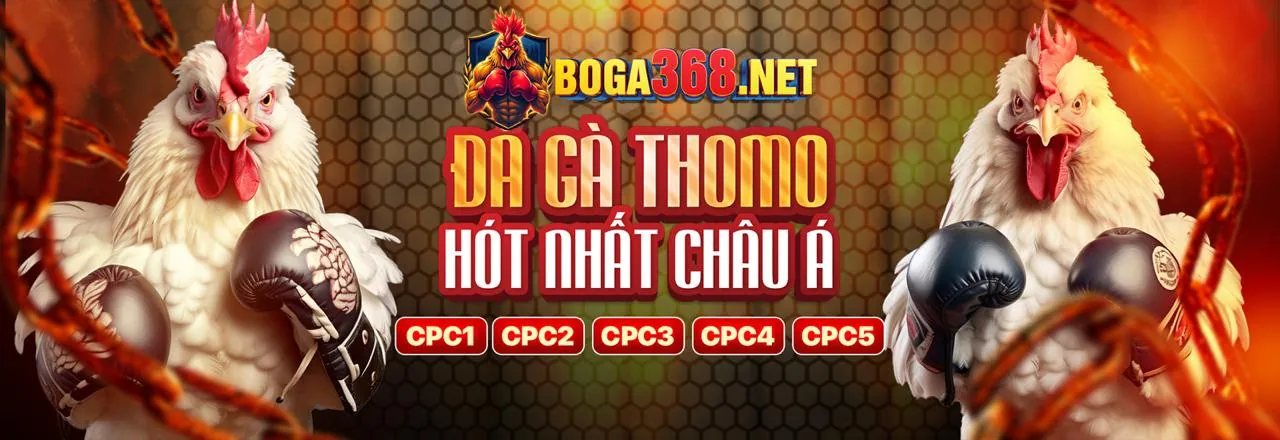 Cá Cược Thể Thao
